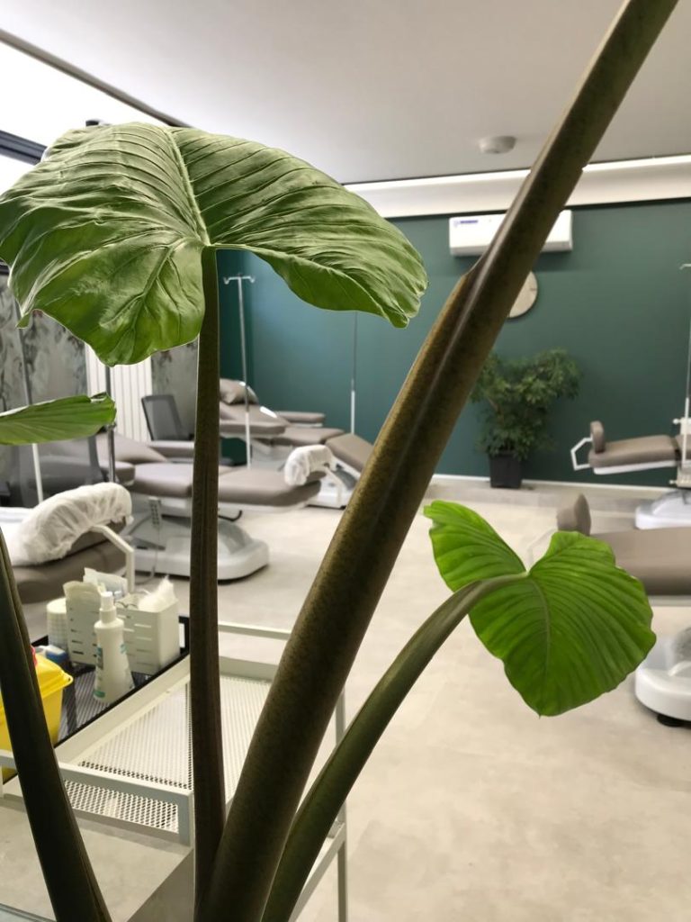 کلینیک جانان